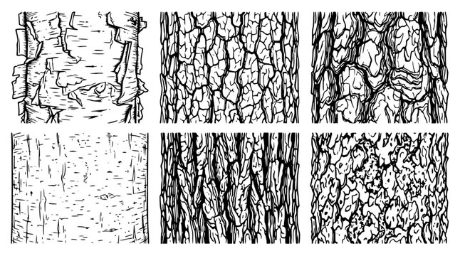 Set of six distinct tree bark textures showcasing various organic patterns including deep ridges and smooth papery surfaces rendered in a detailed black and white ink illustration style