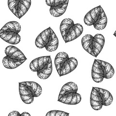 seamless pattern line monstera leaf hand drawn. vector texture, jungle plant, green big line monstera leaf black sketch illustration © PikePicture