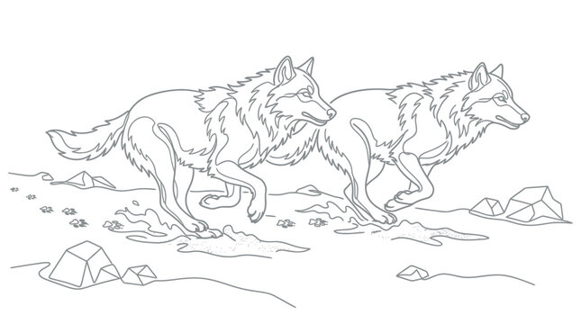Line art illustration of two prehistoric dire wolves running across an icy terrain featuring rocks and paw prints, minimalist black and white vector style for coloring page.