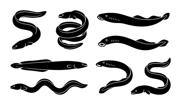 Set of Black Silhouette Eels and Lampreys, Marine Life Vector Illustrations, Aquatic Creatures Collection for Oceanography and Seafood Design