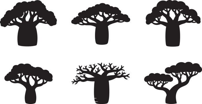 Set of six isolated black gradient baobab trees with large trunks and branches on transparent background.