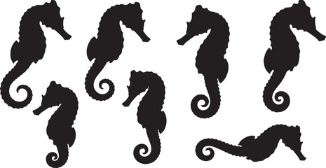 Set of varied seahorse silhouettes with different poses isolated on a transparent background. © Sheplob