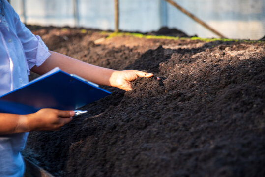 Smart farmer checking soil eco green farm sustainable quality control. Close up Hand check quality control plant tree. Farmer cultivated planting in eco Farmland biotechnology. Green soil agriculture