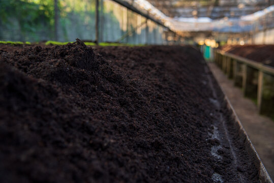 Black soil furrow eco green farm biotechnology sustainable quality control. Black soil check quality control plant tree. Smart Farmer eco Farmland biotechnology. Plowing dirt soil sample agriculture