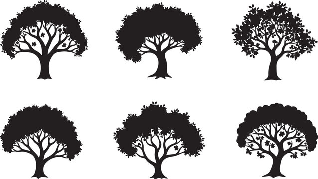 Tree vector silhouette variety showing oak and maple leafy branches for environmental nature park landscaping.