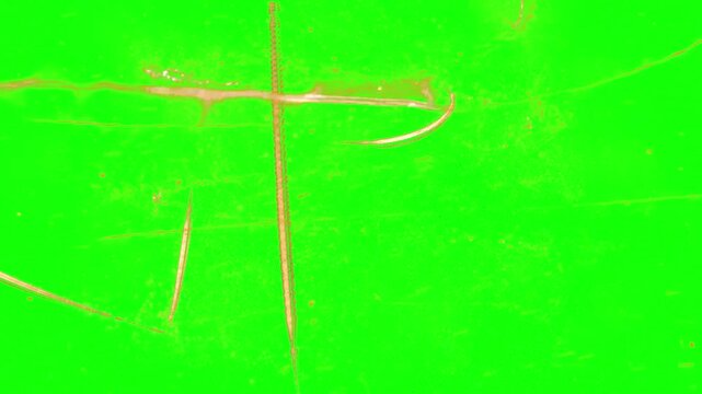 Scratch marks appear rapidly across a green screen surface to simulate damaged film or texture effects.