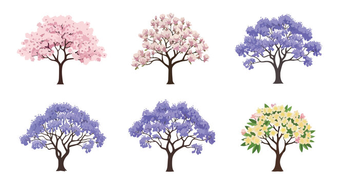 Blooming spring trees collection, set of 6 flowering tree vectors, pink cherry blossom and purple jacaranda botanical illustrations for landscape design isolated PNG with Transparent Background