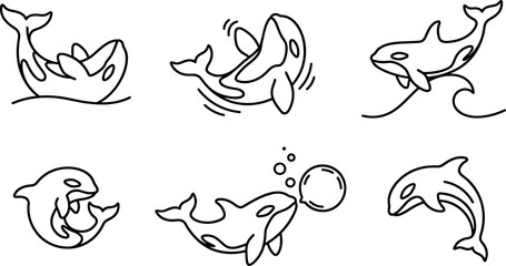 Minimalist Killer Whale Line Art Icon Set Featuring Cute Orca Characters in Various Swimming Poses for Creative Design Layouts © MdImran