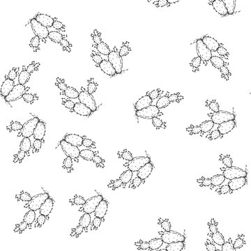 seamless pattern bunny ears cactus sketch hand drawn vector green succulent. garden cacti. easter plant vintage black line illustration