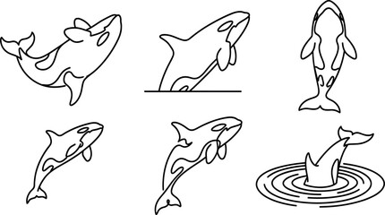Minimalist Orca Line Art Icon Set Featuring Breaching and Swimming Killer Whale Illustrations for Modern Creative Graphic Designs © MdImran