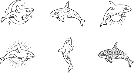 Mystical Orca Killer Whale Line Art Vector Set Featuring Celestial Moon Constellation Sun Mandala Patterns and Celestial Nautical Tattoo Designs © MdImran