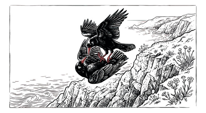 Vintage woodcut illustration of black ravens fighting on a coastal cliff, dramatic corvid birds in mid-air struggle, antique ink drawing of wildlife