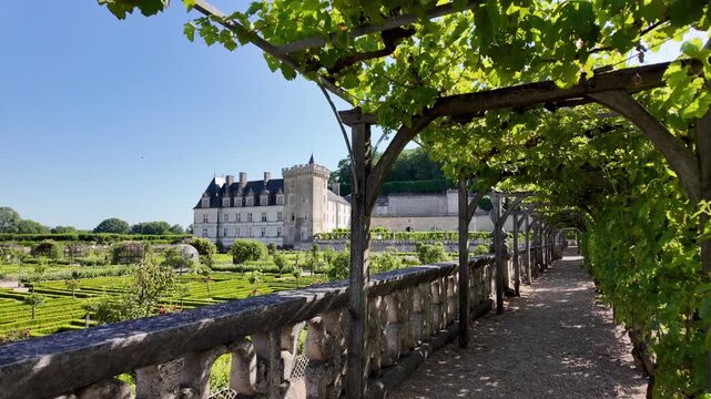 Travel footage of the iconic geometric gardens of Ch&acirc;teau de Villandry during peak bloom season