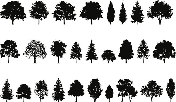 Collection of black tree silhouettes various shapes and sizes black and white