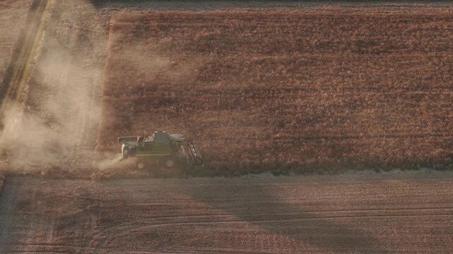 An aerial view of a combine harvester harvesting a ripe wheat field during golden hour, creating a dramatic trail of dust behind the machine.
