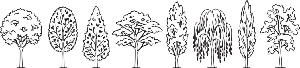 Fototapeta premium Set of hand drawn deciduous and coniferous trees isolated on white background as black line art vector