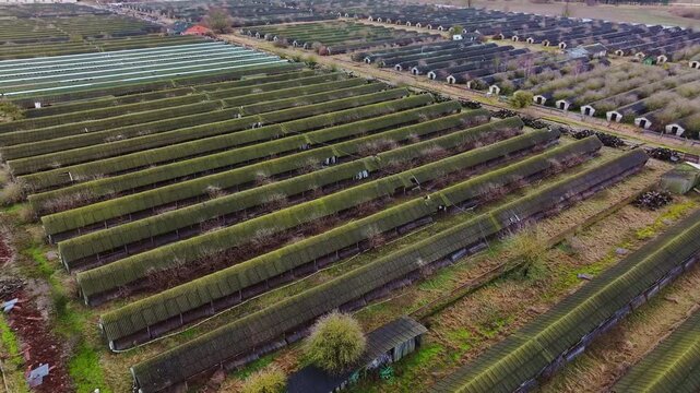 Drone flies forward above the abandoned mink farm in Dubeni, South Kurzeme