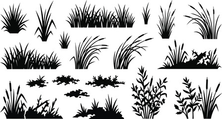 Fototapeta premium Wild Grass Meadow Plants and Ground Cover Silhouettes Vector Collection