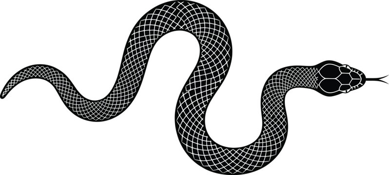 Black Slithering Snake Vector Illustration with Scale Pattern