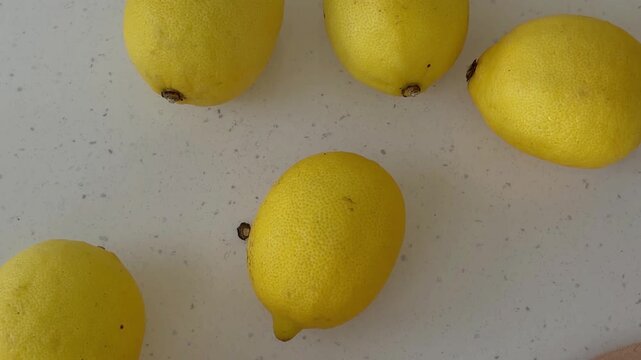 Lemons decaying on a white countertop in a captivating natural process, showcasing the passage of time, organic decomposition, and the cycle of life and death for fruit