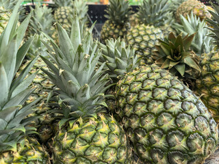 Obraz premium Tight Group of Fresh Pineapples with Spiky Crowns