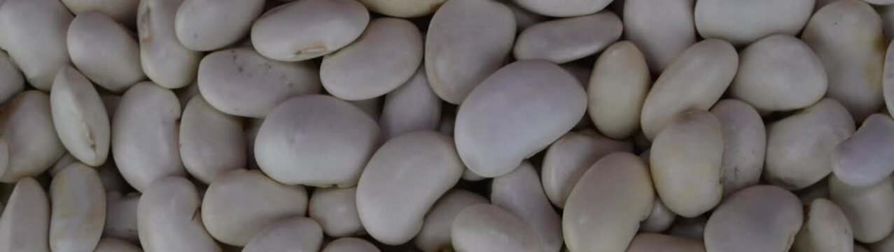 Dry beans for healthy cooking Legumes providing nutrition protein and a staple ingredient for vegetarian dishes.