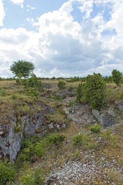 Scenic coastal cliff landscape at &Uuml;&uuml;gu Bluff (&Uuml;&uuml;gu pank) on the island of Muhu in cloudy summer weather, Estonia, Europe.