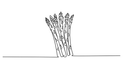 Continuous single line drawing of a bunch of fresh green asparagus spears standing upright as a healthy vegetable food illustration for design and menu © Dipa Roy