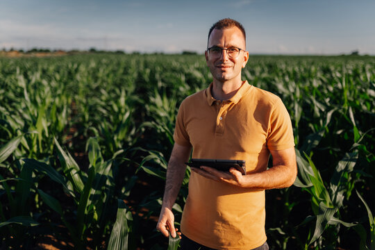 Farmer using tablet in cornfield for smart agriculture