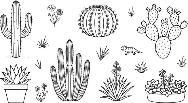 Desert cactus succulent vector doodle set featuring saguaro prickly pear potted agaves horned lizard and wildflowers.