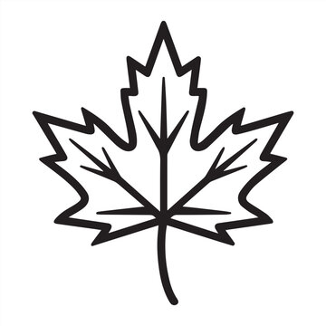 Maple leaf black outline vector