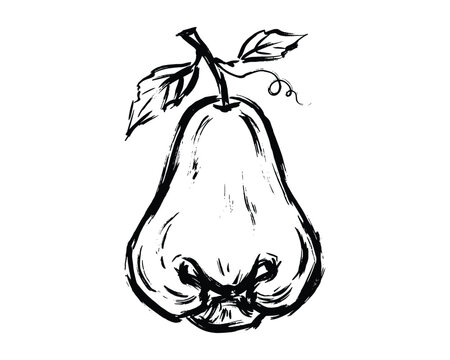 Black brushstroke drawing of a jambu fruit with attached leaves and a curling tendril.