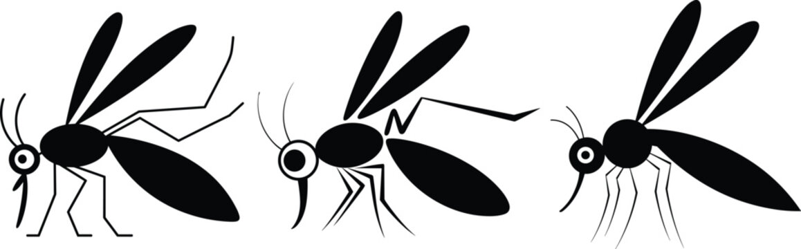 Black mosquito silhouette vector icon set isolated on white background for pest control graphics and medical warning designs