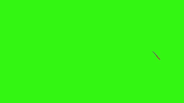 Collage of kitchen utensils falling against a vibrant green background