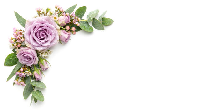 Purple rose floral corner border on white background with botanical