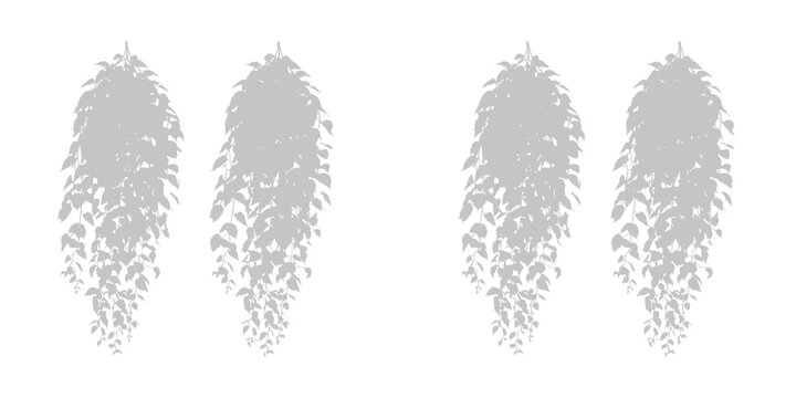 Pair of hanging plant silhouettes for vertical garden visualization and symmetrical architectural design projects for outdoors.