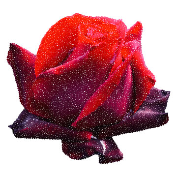 Burgundy red rose element for collage. Flower head with pointillism dotted texture. Floral scrapbook sticker, vintage grain, gritty stipple halftone effect. Modern retro vector illustration isolated