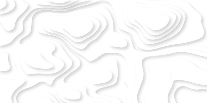 	
Vector minimal light element shadow landscape wave element curve graphic papercut design. Background with lines Modern white and gray carve wave line abstract luxury papercut background.