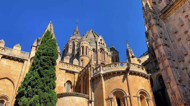 Low angle view of the Old Cathedral of Salamanca dome in Spain