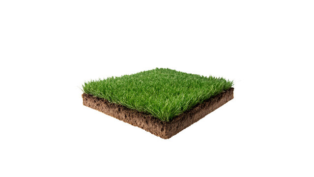 Square piece plot of fresh green natural grass turf isolated on transparent background cut out