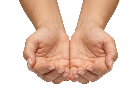 Open cupped hands offering support with soft natural lighting Isolated on transparent background