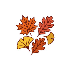 Fototapeta premium Autumn leaves collection in warm colors illustration.