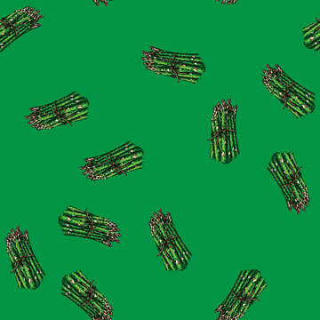 pattern asparagus green hand drawn vector. ood vegetable, fresh raw, bunch plant, organic diet, ingredient healthy, spring asparagus green sketch illustration