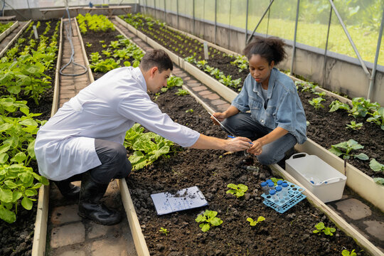 Practical agricultural studies of adolescent students, with scientists providing guidance, demonstrating hypotheses on soil sampling and data recording in greenhouse. Hands-on training in high school