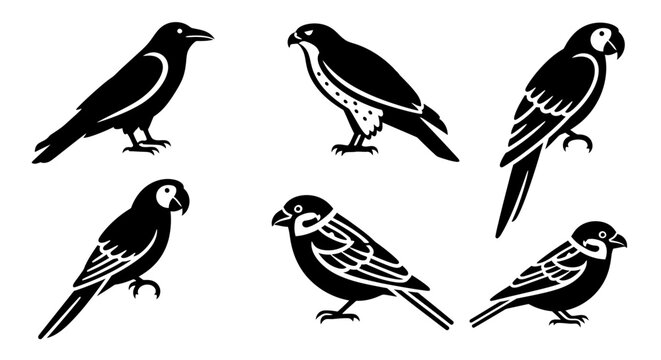 Set of Various Bird Silhouettes, Black Graphic Icons on White Background