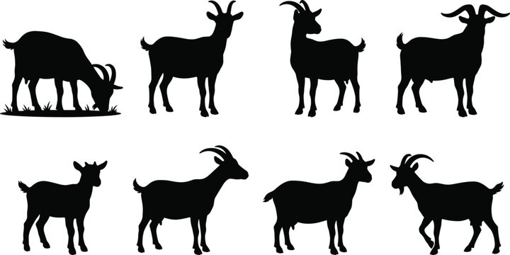 Goat Silhouette Collection with Standing, Grazing, Horned and Farm Goat Vector Set