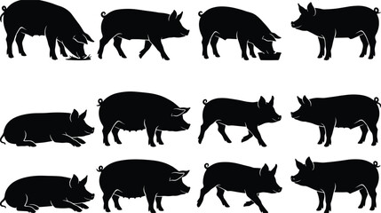 Obraz premium Pig Silhouette Collection with Standing, Walking, Grazing, Feeding and Resting Farm Pig Vector Set
