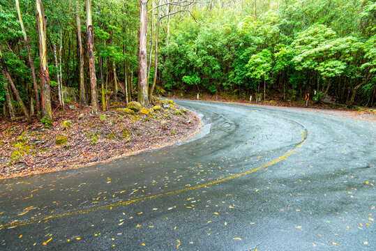 Pinnacle Road in Wellington Park - Hobart - Australia