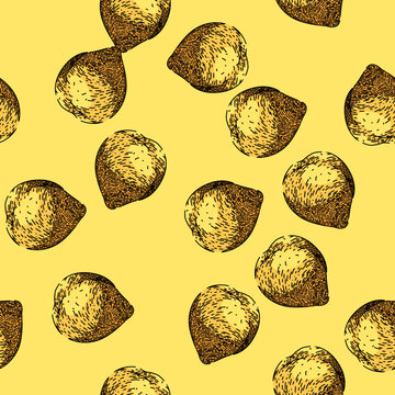 pattern chickpea hummus pea hand drawn. food vector, raw arabic, shot vegetable, top chana, cooking view chickpea hummus pea vector sketch illustration