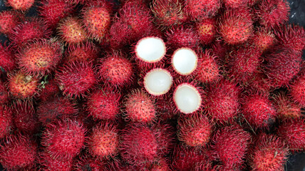 Rambutan, Nephelium lappaceum is a medium sized tropical tree in the family Sapindaceae © VerraWidhi